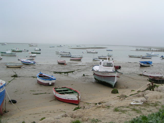 Varada